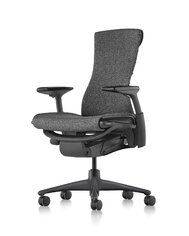 Herman Miller Embody Balance